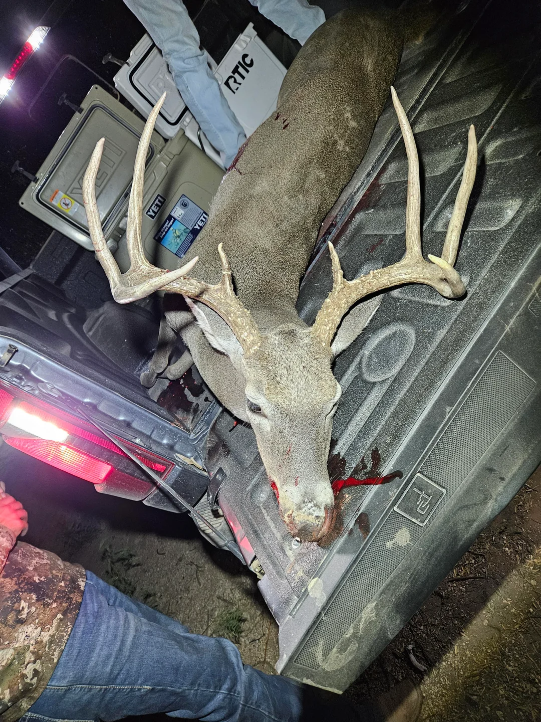 Trophy