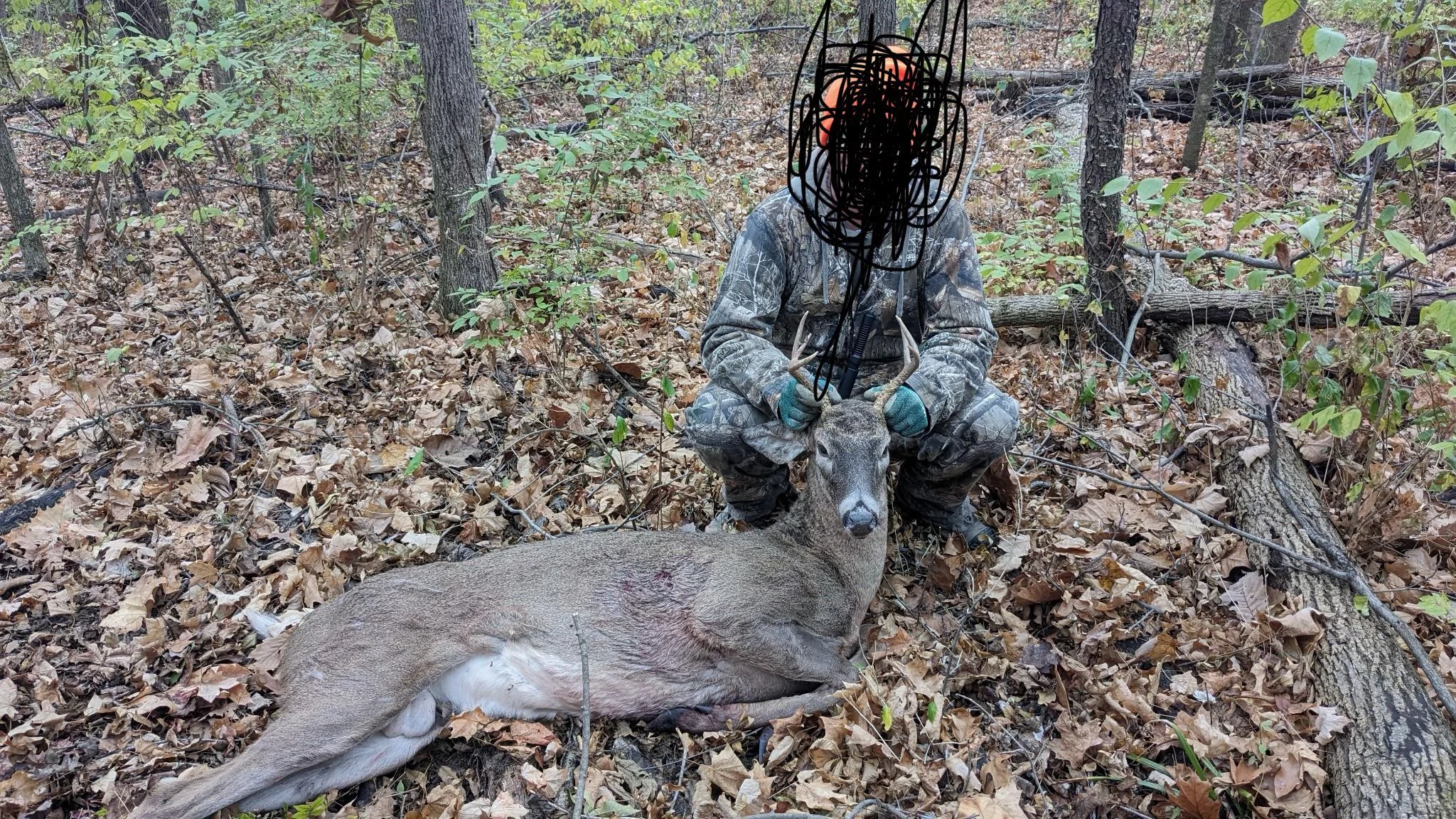 Trophy