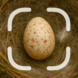 Egg Identifier